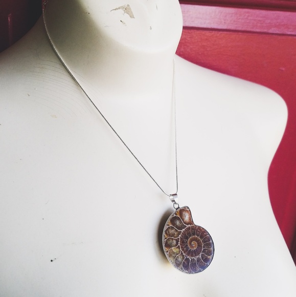 "Regal Revelry"- Silver Ammonite Fossil Necklace - Picture 5 of 6